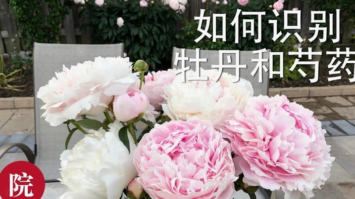 携程拿去花分期怎么还