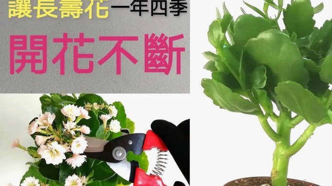 携程拿去花套出来 怎么还款