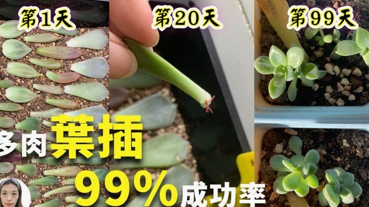 携程拿去花套出来 怎么还款