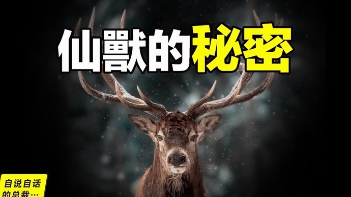 鹿优选借款怎么申请