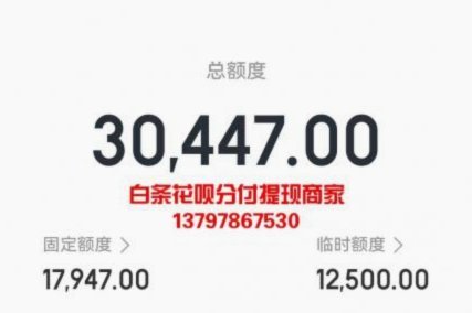 白条额度的智慧使用：让信用为你增值