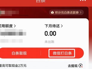 白条怎么借钱出来到微信