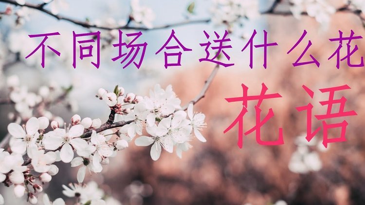 花借随心享，便捷又安全