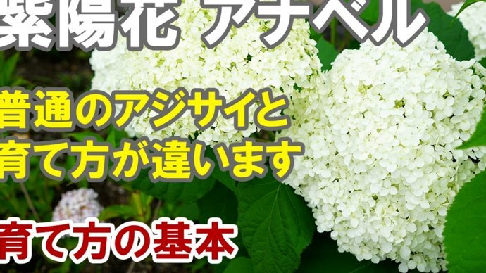 秒用花借款入口