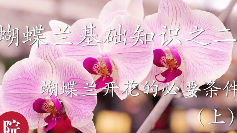 花呗套现风险有多大