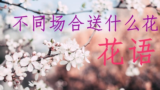 花呗套出现金会怎样