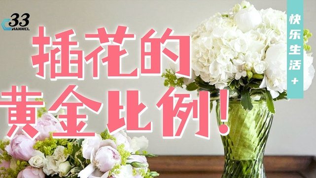 取出多少钱？费率、陷阱与风险解析