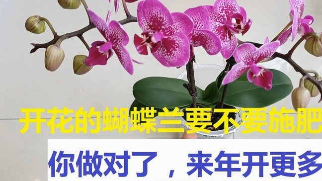 花呗套取现金真的能瞒过风控系统吗？