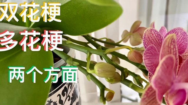 套取花呗出借利息是否合法