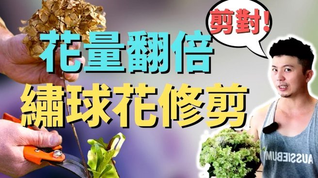 套花呗手续费多少？操作细节与费用解析