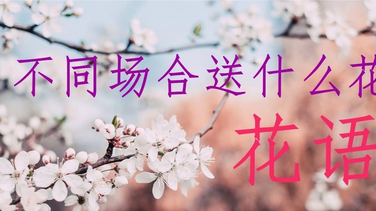 花呗异常怎么办？常见的几种情况解析