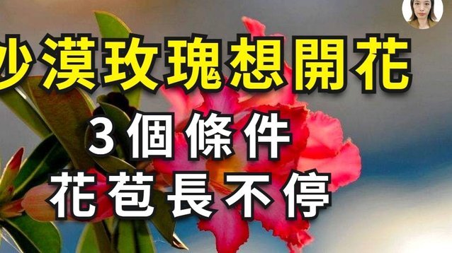 花呗怎么会出现异常