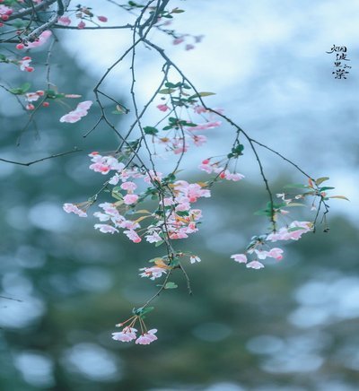 花呗现在停用了吗