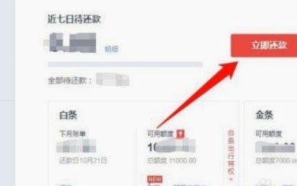 白条9555：高效金融服务新标杆