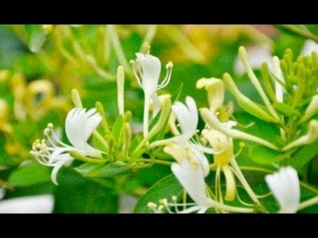 借款使用与还款：如何制定科学的财务规划