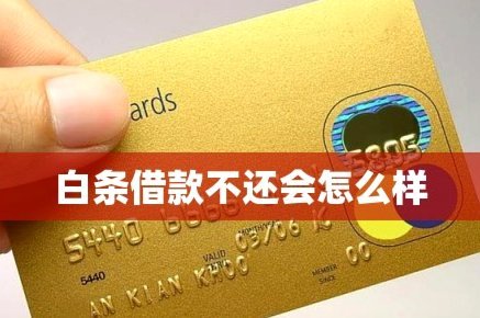 白条贷款怎么申请