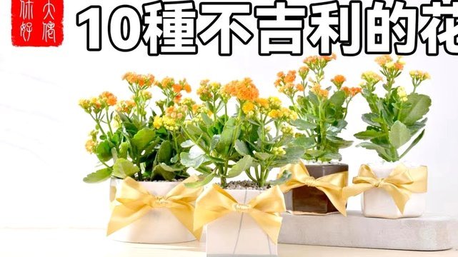 兴趣社群如何变现：信任与价值的转化