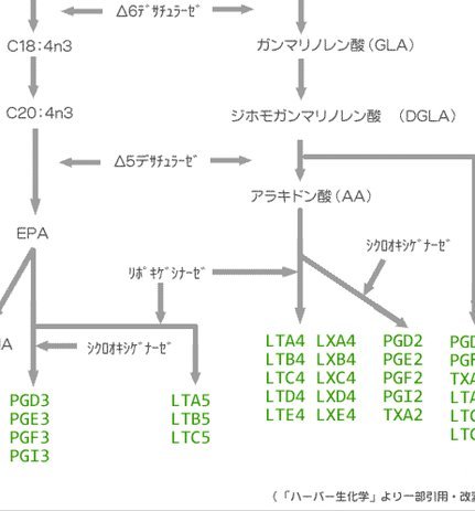 得物月付怎么用？轻松掌握灵活支付新方式
