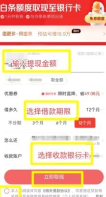 白条借款指南：轻松获贷攻略
