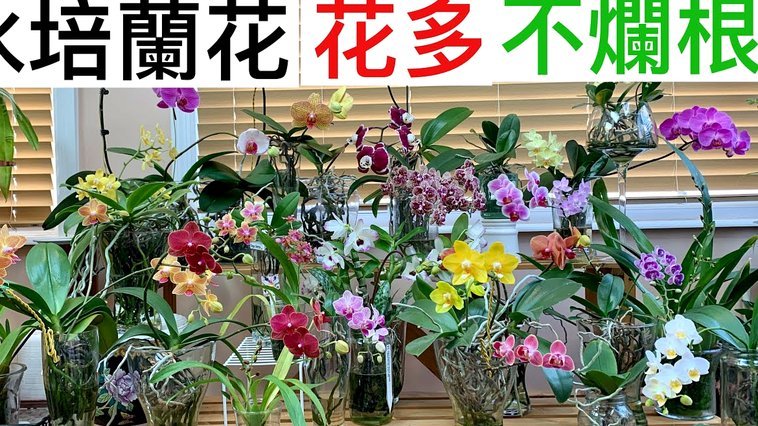 花呗兑现商家接受度如何？