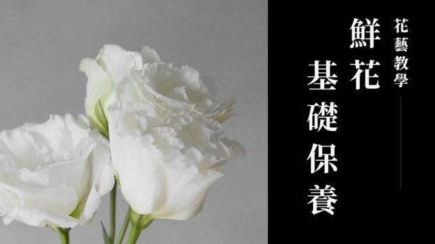 花呗兑现商家能用吗