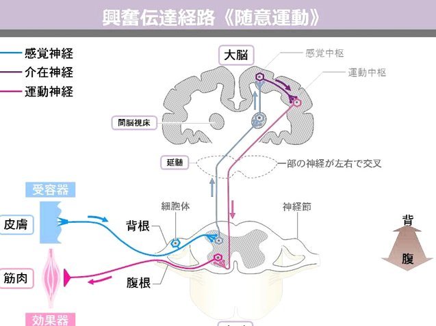 白条出库秒商家 怎么赚钱