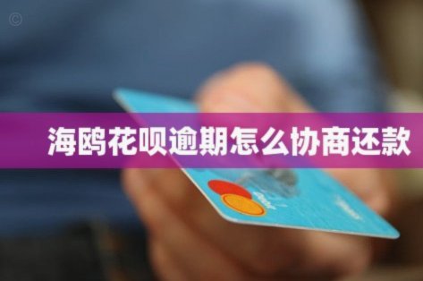 海鸥花呗如何高效还款