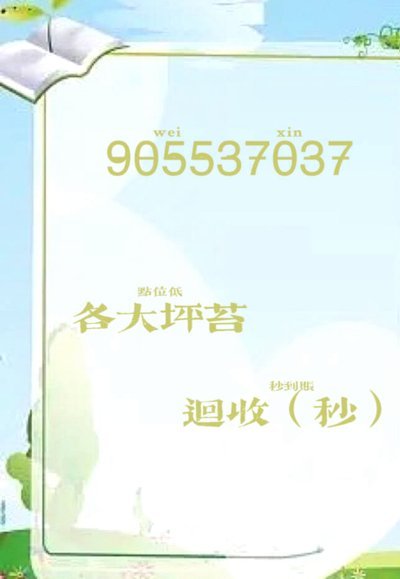 科技赋能：实时信用评估新维度