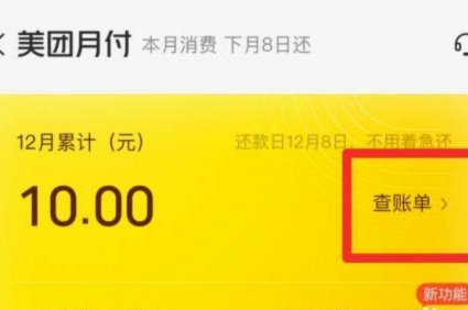 美团月付能不能体现