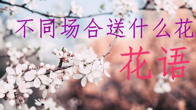 花呗套现对商家的影响
