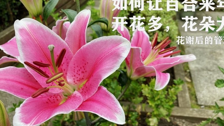 秒花花平台贷款合法吗？