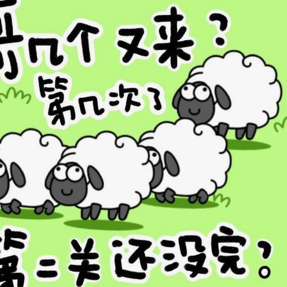羊小咩是什么平台