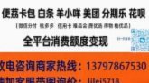 白条额度怎么变现