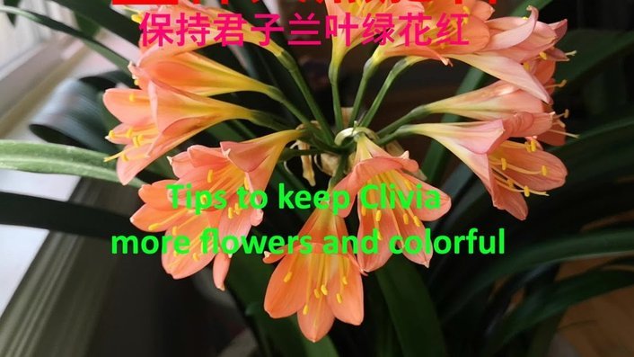 如何合理使用拿去花消费