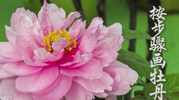 花呗转现出钱？这些成本你得知道