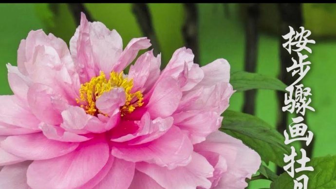 花呗套现可靠吗？深度揭秘潜在风险