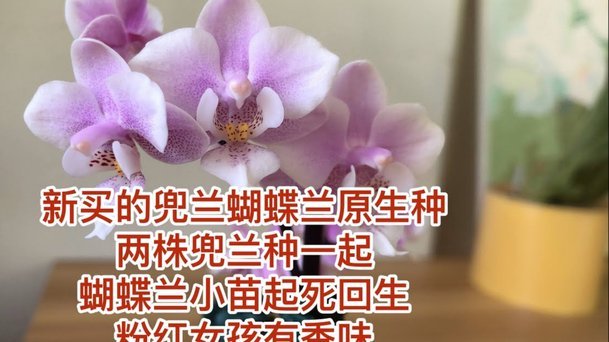携程拿去花套现几个点 出来的钱