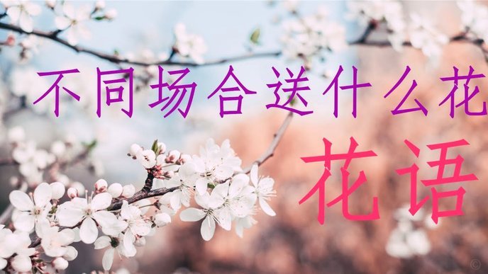 如何高效联系花呗官方客服