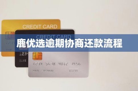 鹿优选靠谱回收商家