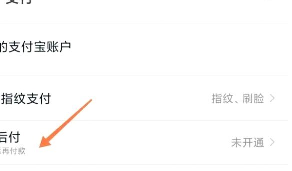 淘宝先用后付，500元内秒到无忧购物