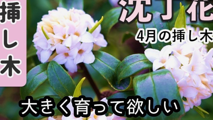 拿去花取现有额度取不出来