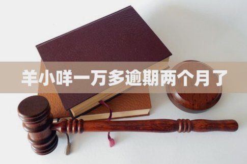 羊小咩账号冻结怎么办