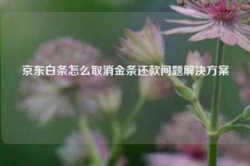 京东白条提现方式 现金还款