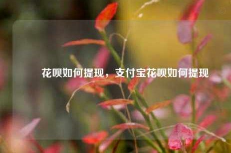 花呗里的钱怎么安全提现？