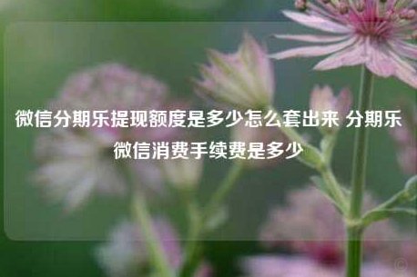 分期乐借款能提现到微信零钱吗？