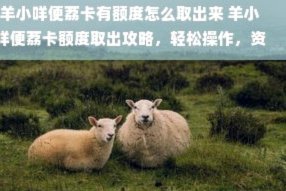 羊小咩额度：动态解析与认知偏差